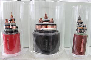 ���ר�õ���