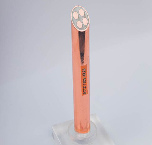 BTTZ�������